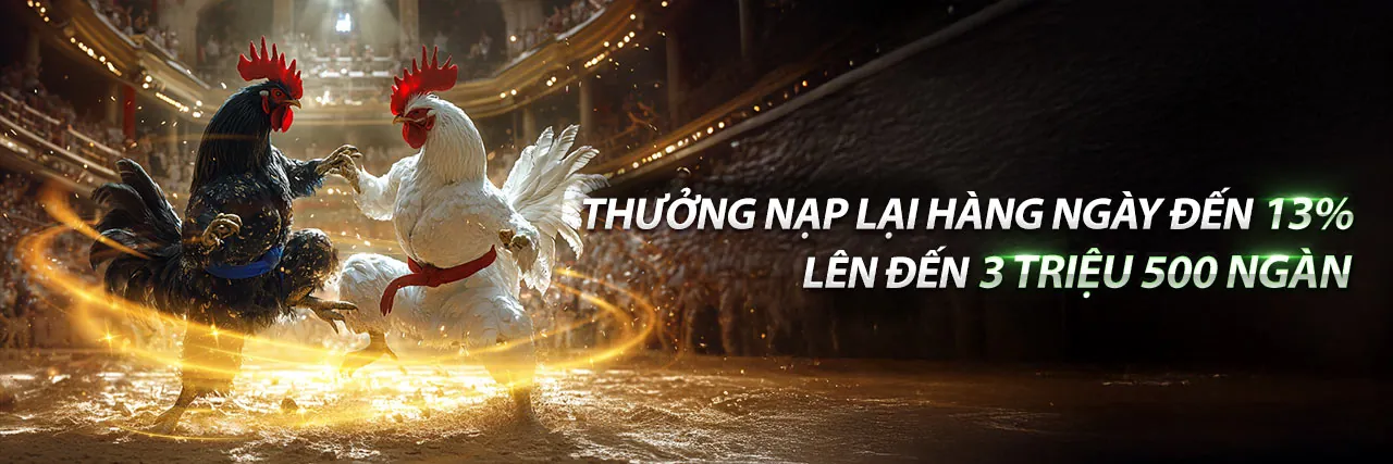 Đá Gà Trực Tiếp C3 15/4